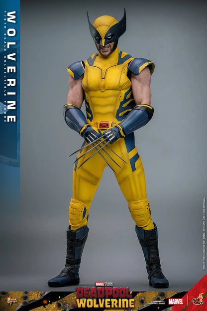 Hot Toys Movie Masterpiece Series: Marvel Deadpool y Wolverine - Wolverine Escala 1/6 Preventa