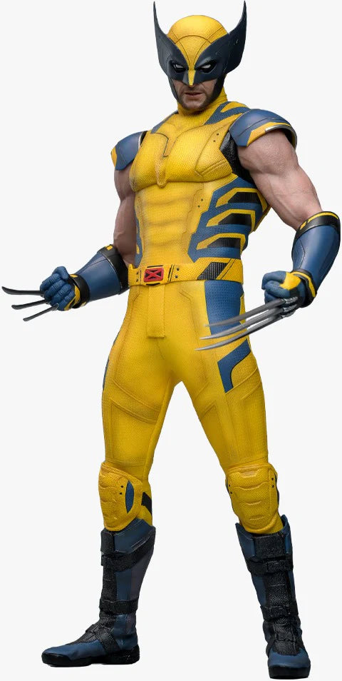 Hot Toys Movie Masterpiece Series: Marvel Deadpool y Wolverine - Wolverine Escala 1/6 Preventa
