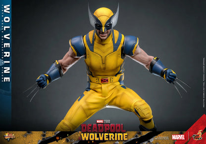 Hot Toys Movie Masterpiece Series: Marvel Deadpool y Wolverine - Wolverine Escala 1/6 Preventa