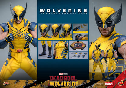 Hot Toys Movie Masterpiece Series: Marvel Deadpool y Wolverine - Wolverine Escala 1/6 Preventa