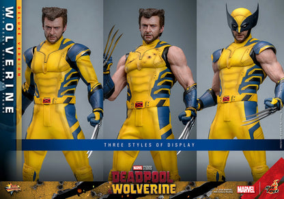 Hot Toys Movie Masterpiece Series: Marvel Deadpool y Wolverine - Wolverine Deluxe Escala 1/6 Preventa