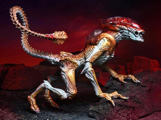 NECA Figura de Acccion: Alien - Alien Pantera 7 Pulgadas Preventa - Akiba